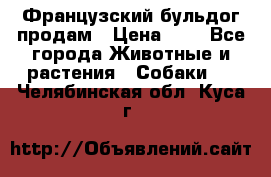 Французский бульдог продам › Цена ­ 1 - Все города Животные и растения » Собаки   . Челябинская обл.,Куса г.